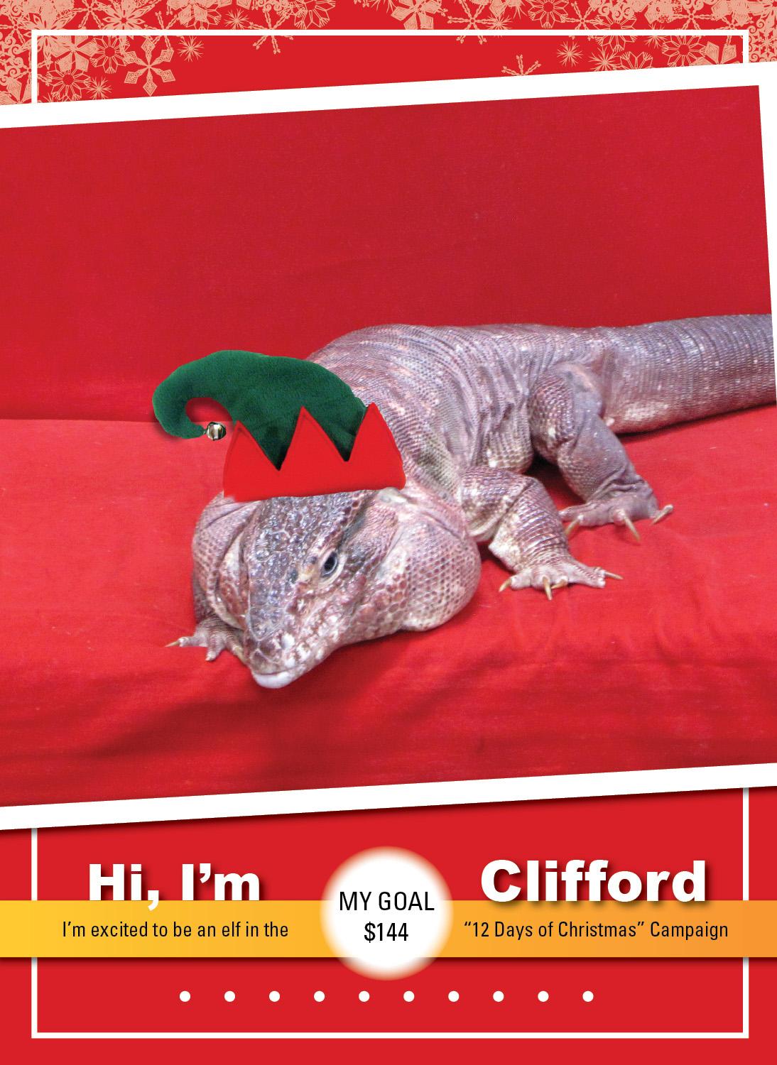 Clifford_ELF_Thumbnail
