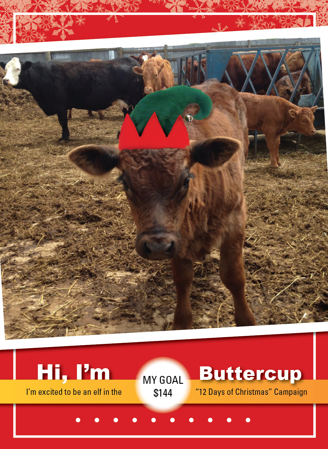 Buttercup the COW_Elf_Thumbnail